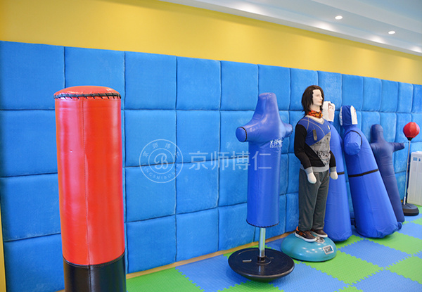 海南省第二卫生学校心理健康服务中心顺利建成