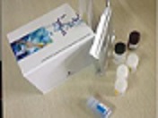 待测大鼠脱氢表雄酮S7(DHEA-S7)ELISA试剂盒价格
