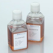 粗制豚鼠血清