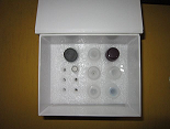 99633-05-3价格14-Benzoylneoline