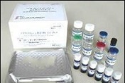 待测大鼠雌激素受体(ER)ELISA试剂盒价格