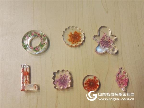 北京市昌平区小学科学教师学科实践活动