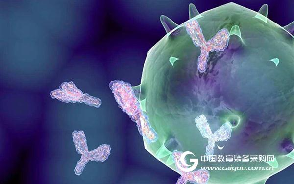 抗CD47后,又一个癌症免疫治疗新靶点被发现