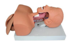 人体气管插管训练模型