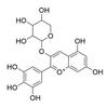 飞燕草素-3-O-阿拉伯糖苷 171370-55-1