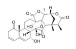 酸漿苦素L 113146-74-0
