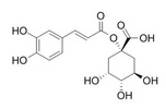 1-咖啡酰奎宁酸 1241-87-8