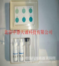 硫化氢比色器 型号：HJD/SH-B