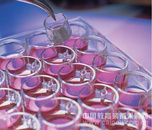 PIHP01250  Millicell 插入式细胞培养皿, 12 mm, 聚碳酸酯, 0.4 μm