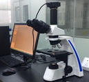 供应微域光学生物偏光显微镜