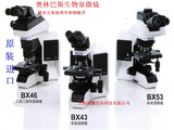 OLYMPUS奥林巴斯BX53正置显微镜 多种观察方式