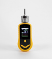亚欧 泵吸式二氯甲烷气体检测仪 二氯甲烷气体分析仪 DP29655测量范围0-1000PPM,0-10000ppm