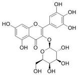 杨梅素-3-O-半乳糖苷 15648-86-9