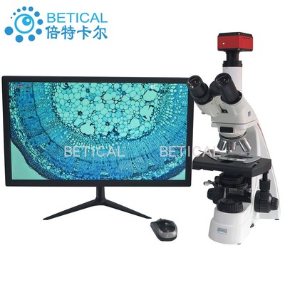 BETICAL S800T-950HK高清專業生物顯微看精子微生物螨蟲學生實驗