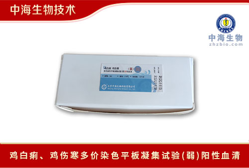 中海生物技術雞白痢雞傷寒多價染色平板凝集試驗弱陽性血清用法
