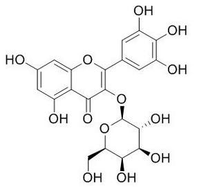 杨梅素-3-O-半乳糖苷 15648-86-9