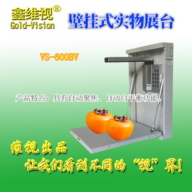濟南壁掛高清視頻展臺教學高拍儀顯示器大屏投影儀 鑫維視VS-600BV