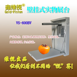 濟南壁掛高清視頻展臺教學高拍儀顯示器大屏投影儀 鑫維視VS-600BV