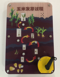 幼儿智慧科普产品_ 壁挂式科普馆建设_师大教育壁挂展品_小蝎子成长记