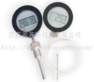 隔爆就地数字温度显示仪SKW-100B型