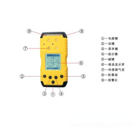 便携式甲酸检测仪，扩散式甲酸分析仪