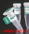 AGR2/ Recombinant Human Anterior Gradient Protein 2 Homolog
