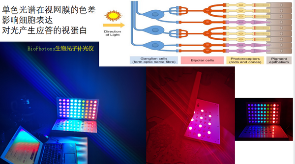 靶向生物光子技术，将成为儿童青少年近视可防、可控新路径