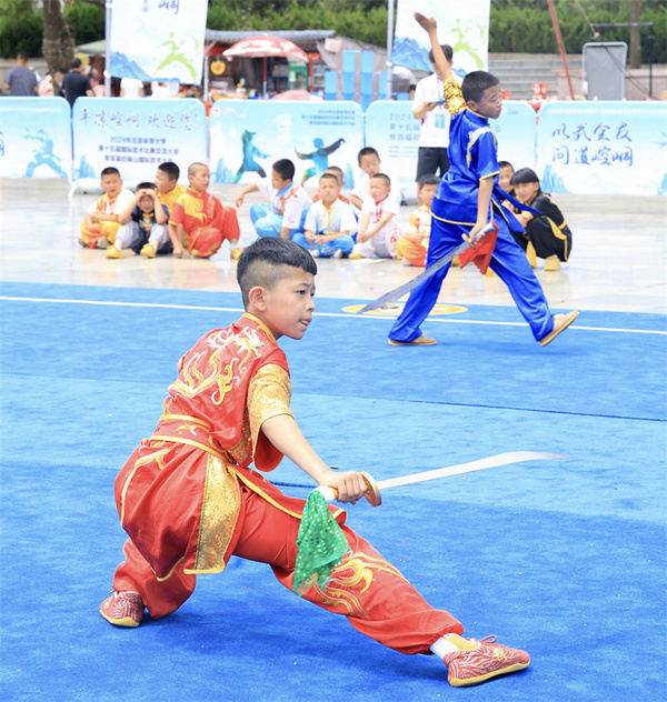 北京體育大學第十五屆國際武術比賽交流大會在崆峒古鎮開幕