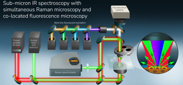 应用讲座丨第二届清华大学分析中心亚微米分辨红外-拉曼-荧光联用系统在众多领域的应用及操作培训