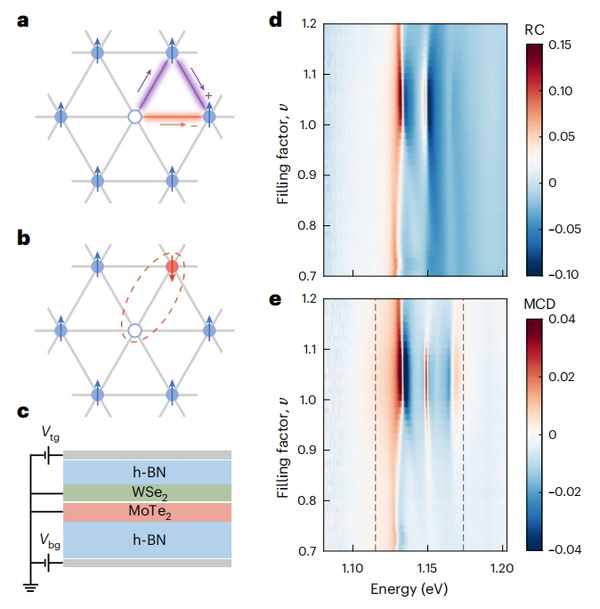 自旋极化子直接观测！无液氦磁体恒温器助力一篇Nature Physics