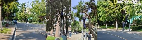大连理工大学：抢暑期提升环境品质 新学期校园修葺一新