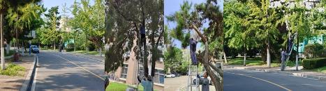 大連理工大學：搶暑期提升環境品質 新學期校園修葺一新