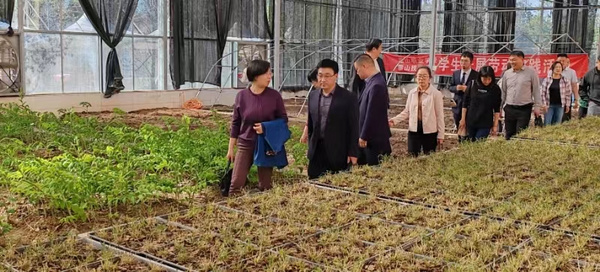 六安市霍山縣突出四個關鍵，促進職業教育產教融合