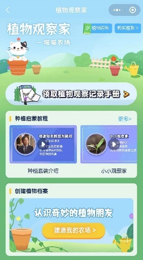 隨心栽培，輕松上手，得力益智玩具讓娃在家見證植物成長