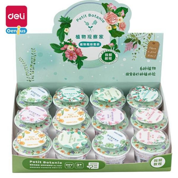 隨心栽培，輕松上手，得力益智玩具讓娃在家見證植物成長