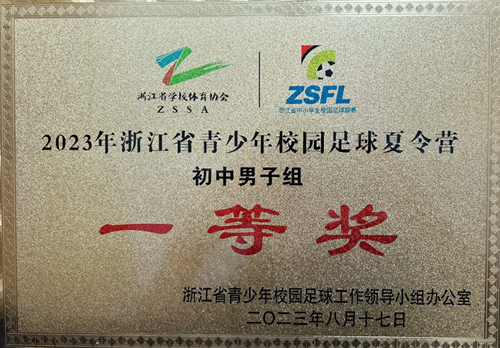 蒼南領軍，溫州市初中男子組在省足球夏令營活動中喜獲佳績