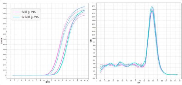 RT Master Mix for qPCR—高效反轉錄試劑 | MedChemExpress