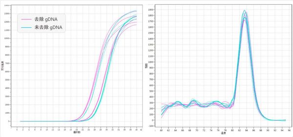 RT Master Mix for qPCR—高效反转录试剂 | MedChemExpress