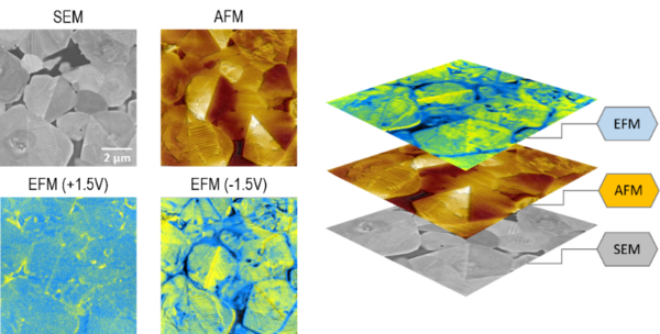 太酷了！这台全新多功能材料微区原位表征系统，可实现同位置，同界面的SEM和AFM综合测量