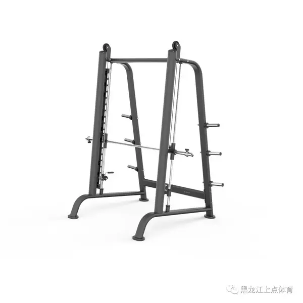 舒華體育出品.【亞布力森林溫泉酒店】室內健身娛樂活動中心安裝完畢