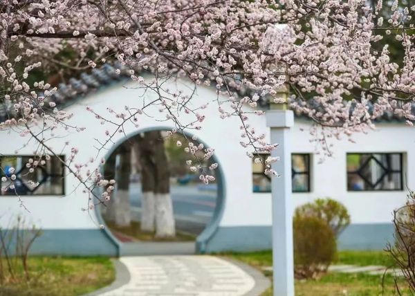 第二屆全國智慧學校體育建設與發展論壇在吉林大學舉辦