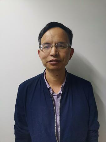 嵌入式柔性SERS基底對孔雀石綠殘留的多檢測模式