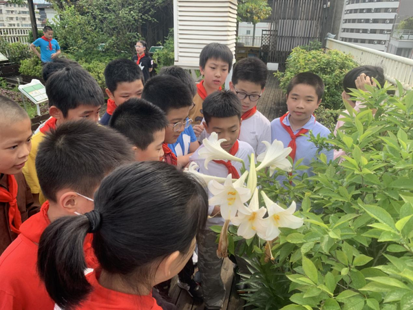 福建省4地36校入选首批全国中小学科学教育实验区、实验校