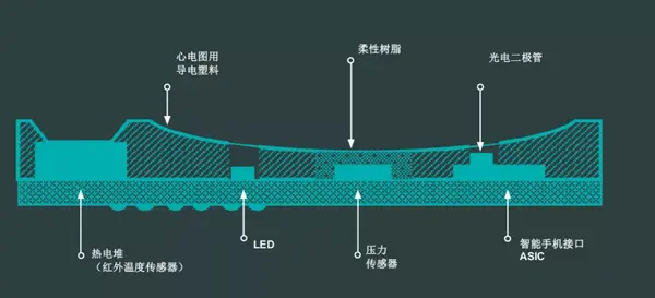便攜式血壓測量迎來重大突破，新玩家強勢入局萬億醫療市場