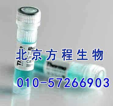 方程生物试剂图片 (4).jpg 人驱动蛋白2(KNS2)检测/(ELISA)kit试剂盒/免费检测