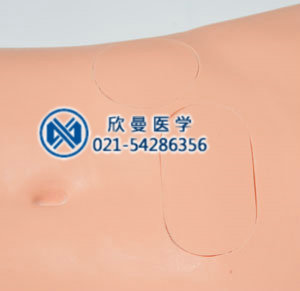 腹腔穿刺模拟人,腹腔穿刺训练模型