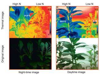 模块式植物表型成像分析系统