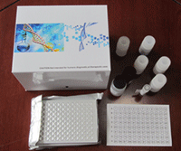 C-Peptide试剂盒,人C肽ELISA试剂盒