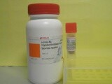 63543-52-2,(24S)-24,25-环氧达玛树脂-20-烯-3-酮,24,25-Epoxydammar-20(21)-en-3-one