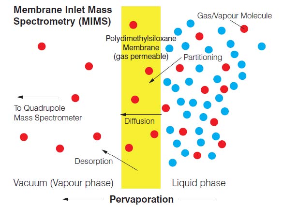 薄膜进样质谱仪（MIMS） Membrane Inlet Mass Spectrometer